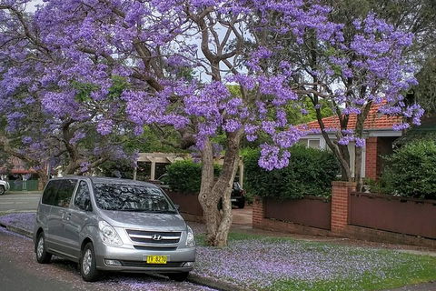 Sydney Secrets & Bondi Beach Private 4 Hr Morning With Personalised Sydney Tours - Flights 0