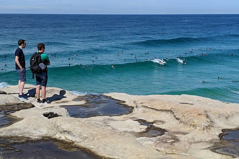 Sydney Secrets & Bondi Beach Private 4 Hr Morning With Personalised Sydney Tours - Flights 2