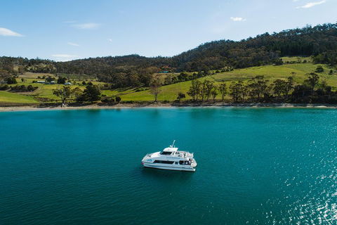 Deep-to-Dish: Tasmanian Seafood Experience - Flights 0