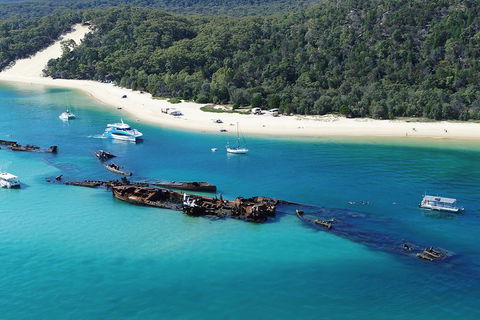 All Inclusive Tangalooma Wrecks Cruise Tour From Gold Coast - Flights 0