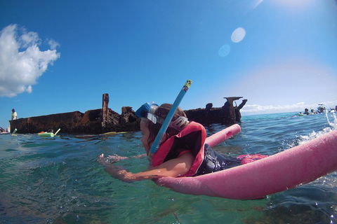 All Inclusive Tangalooma Wrecks Cruise Tour From Gold Coast - Flights 3