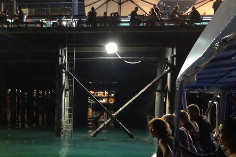 Darwin Sunset Cruise Including Fish 'n' Chips - Flights 0