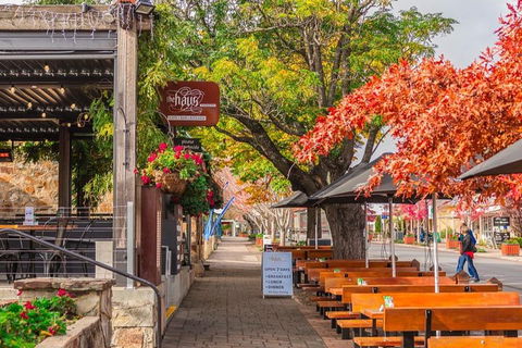 Barossa Valley Full-Day Tour From Adelaide With Maggie Beer Farm - Flights 1