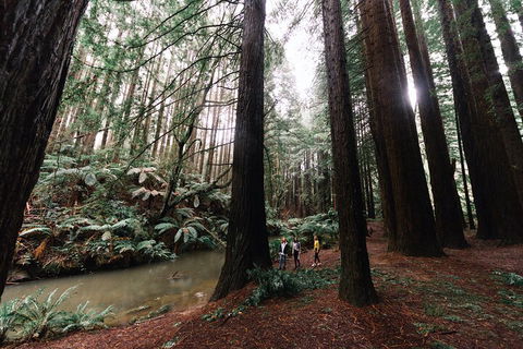 LGBT+ Friendly 3 Day Private Tour Great Ocean Road & Phillip Island - Flights 2