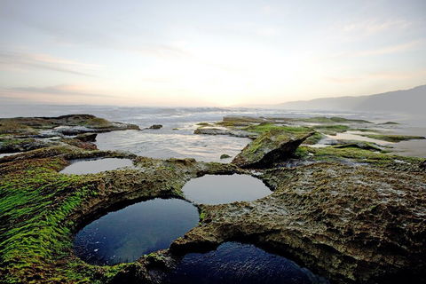 LGBT+ Friendly 3 Day Private Tour Great Ocean Road & Phillip Island - Flights 5