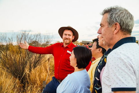 Uluru (Ayers Rock) Sunset With Outback Barbecue Dinner And Star Tour - Flights 3