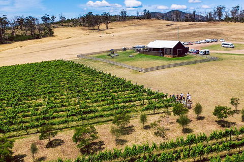 Tasmanian Wine Tour - Flights 3