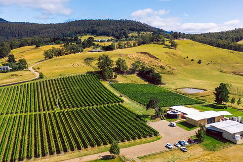Tasmanian Wine Tour - Flights 4