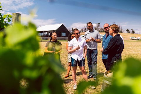Tasmanian Wine Tour - Flights 5