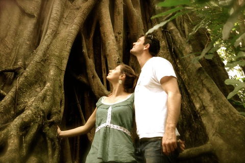 Daintree And Cape Tribulation Full Day Guided Tour - Flights 5