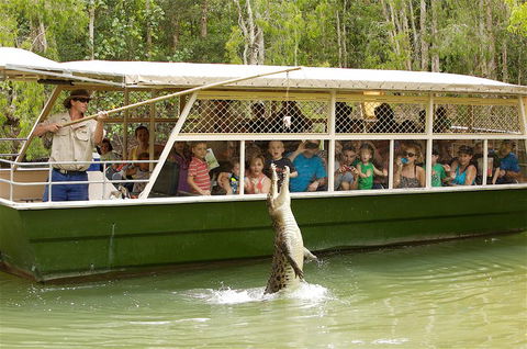 Hartley's Crocodile Adventure Half-Day Tour - Flights 0