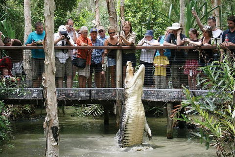 Hartley's Crocodile Adventure Half-Day Tour - Flights 1