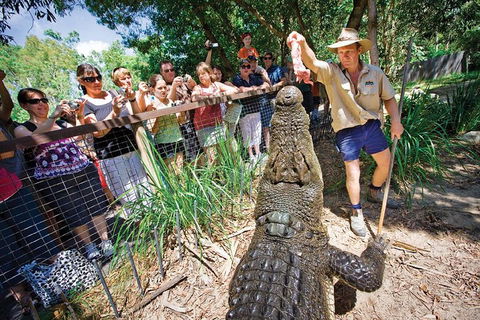 Hartley's Crocodile Adventure Half-Day Tour - Flights 4