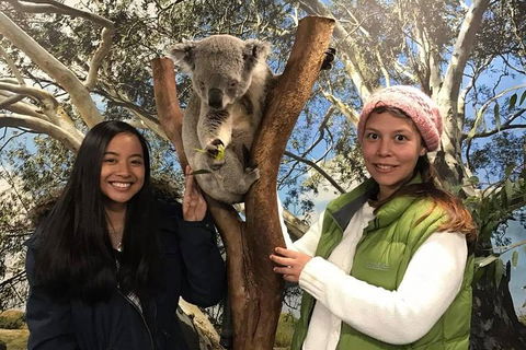 Australia Multi-City Attractions Pass - Flights 3