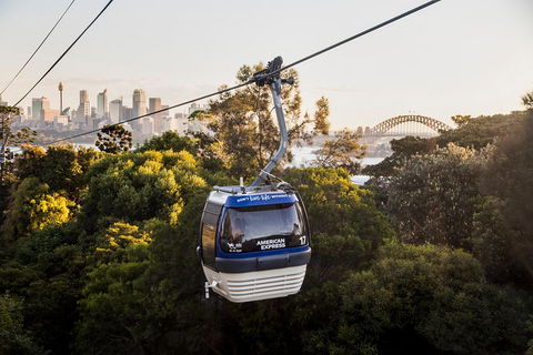 Australia Multi-City Attractions Pass - Flights 5