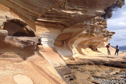 Hobart Minibus Full-Day Private Tour - Flights 0