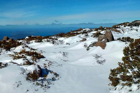 Mt Wellington Ultimate Experience Tour From Hobart - Flights 4