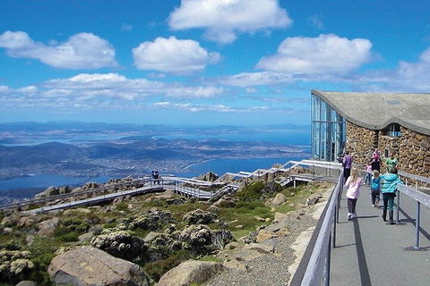 Mt Wellington Tour And MONA Admission - Flights 1