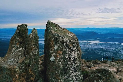 Mt Wellington Tour And MONA Admission - Flights 2