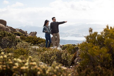 Mt Wellington Tour And MONA Admission - Flights 5