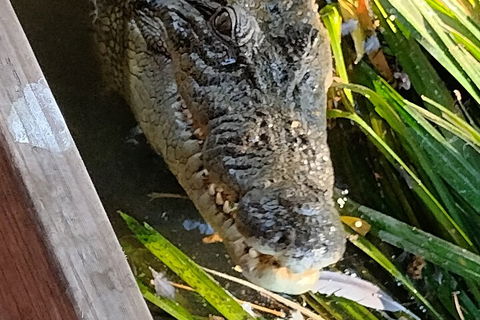 Litchfield Park Adventures And Jumping Crocodile Cruise + Butterfly Farm - Flights 1