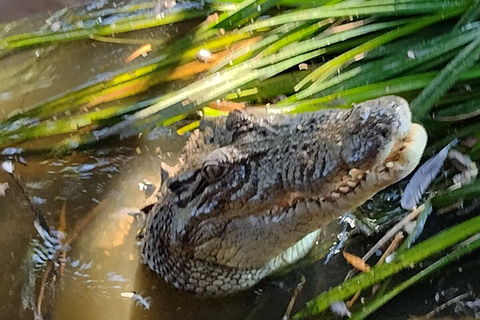 Litchfield Park Adventures And Jumping Crocodile Cruise + Butterfly Farm - Flights 4