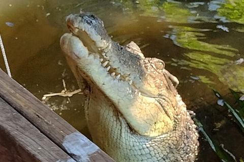 Litchfield Park Adventures And Jumping Crocodile Cruise + Butterfly Farm - Flights 5