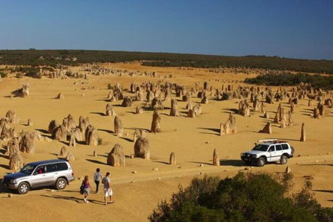 1-Day Pinnacles And Yanchep Tour From Perth Including Fish And Chips Lunch - Flights 0