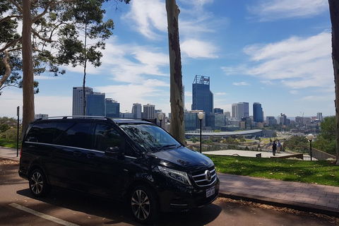 1-Day Pinnacles And Yanchep Tour From Perth Including Fish And Chips Lunch - Flights 1
