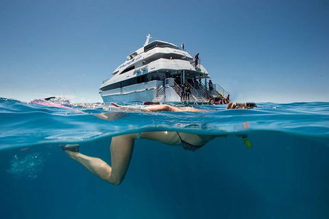 3 Day Great Barrier Reef, Daintree Rainforest And Outback Chillagoe Tour - Flights 0