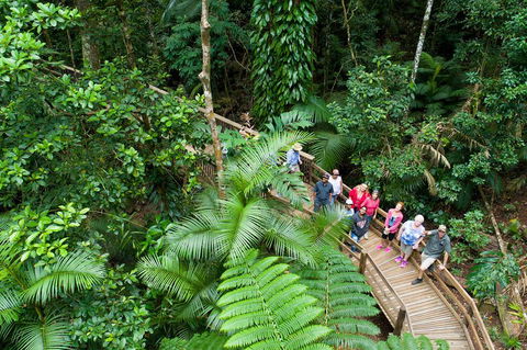 3 Day Great Barrier Reef, Daintree Rainforest And Outback Chillagoe Tour - Flights 2
