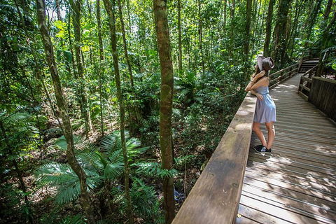 3 Day Great Barrier Reef, Daintree Rainforest And Outback Chillagoe Tour - Flights 3