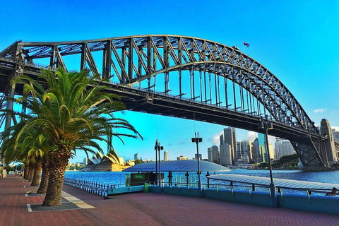 Sydney Half Day Tour With A Local: 100% Personalized & Private â˜…â˜…â˜…â˜…â˜… - Flights 1
