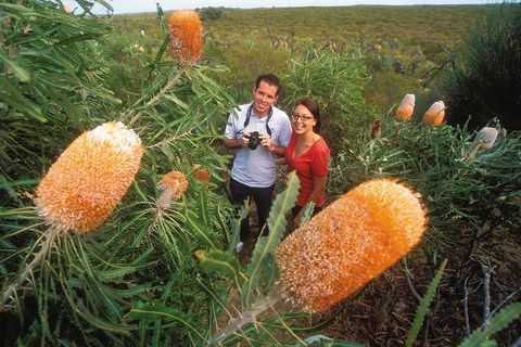 Best Of Perth Wildflower Season Day Trip - Flights 0