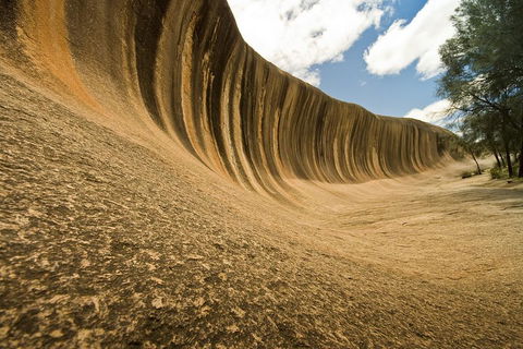 Wave Rock, York, Wildflowers, And Aboriginal Cultural Day Tour From Perth - Flights 0