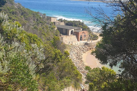 Fort Nepean And Quarantine Station Tour - Flights 4