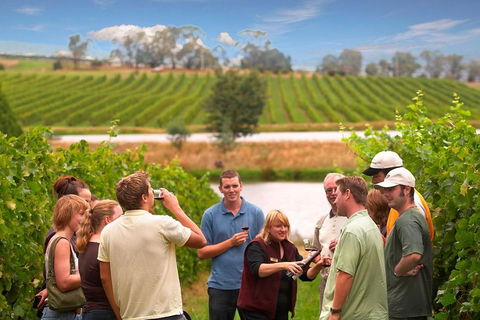 Yarra Valley Wine And Winery Tour From Melbourne - Flights 0