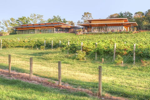 Yarra Valley Wine And Winery Tour From Melbourne - Flights 1