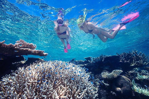 Great Barrier Reef Scenic Helicopter Tour And Cruise From Cairns - Flights 3