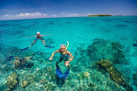 Fly To Green Island - Cruise Return - Flights 4