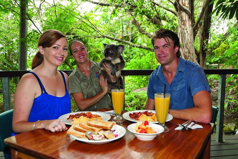 Breakfast With The Koalas At Hartley's Crocodile Park From Cairns Or Palm Cove - Flights 0