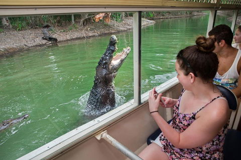Breakfast With The Koalas At Hartley's Crocodile Park From Cairns Or Palm Cove - Flights 4