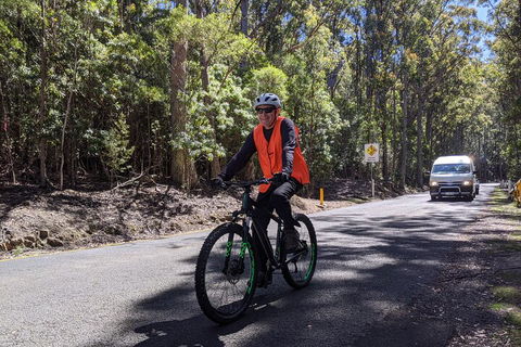 Mount Wellington Descent Cycling Tour Departs Hobart - Flights 3