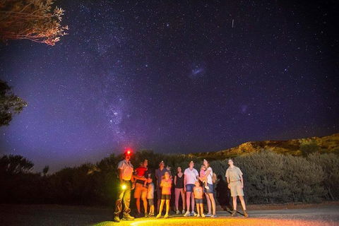 Alice Springs Desert Park Nocturnal Tour - Flights 2