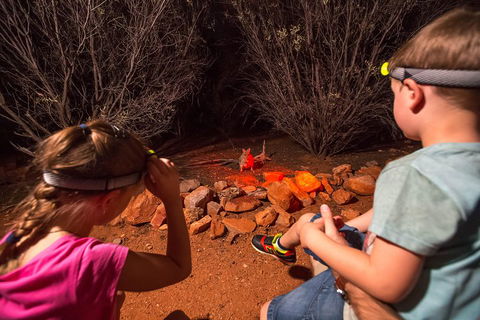 Alice Springs Desert Park Nocturnal Tour - Flights 4