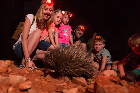 Alice Springs Desert Park Nocturnal Tour - Flights 5