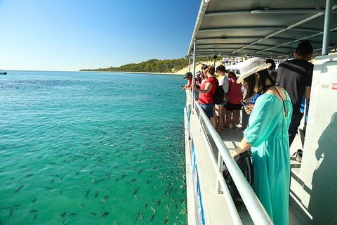 Adventure Moreton Island Wrecks Adventure Package - Flights 1