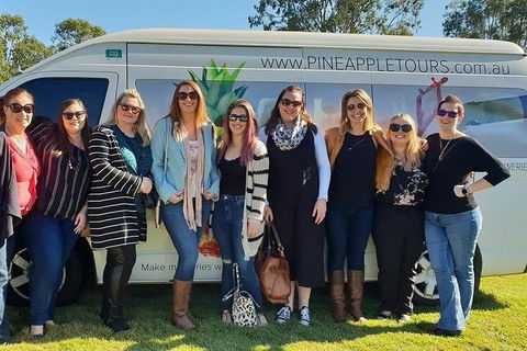 Full Day Mount Tamborine Winery Tour From Gold Coast - Flights 0