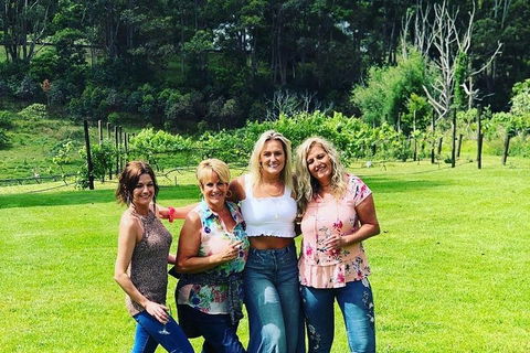 Full Day Mount Tamborine Winery Tour From Gold Coast - Flights 1