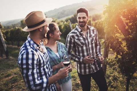 Full Day Mount Tamborine Winery Tour From Gold Coast - Flights 5